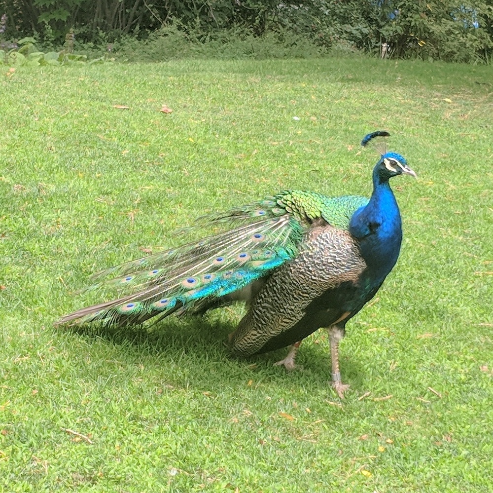 Meet your Posher, Cassandra